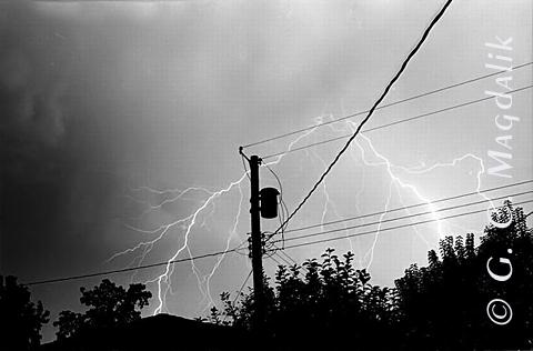 Back to Black & White Gallery 2