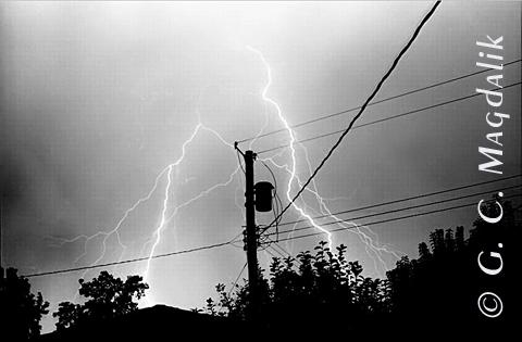 Back to Black & White Gallery 2