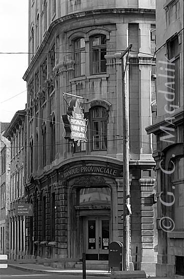 Back to Black & White Gallery 2