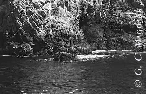 Back to Black & White Gallery 2