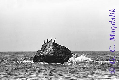 Back to Black & White Gallery 2