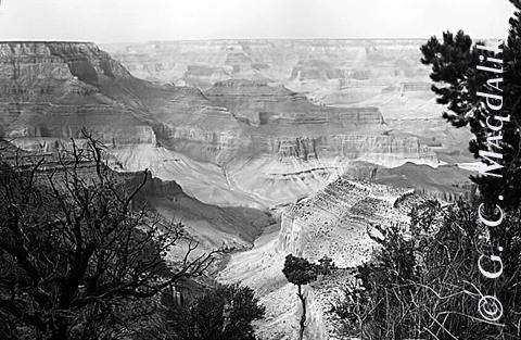 Back to Black & White Gallery 2