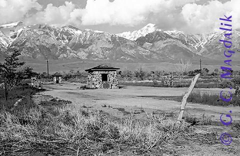 Back to Black & White Gallery 2