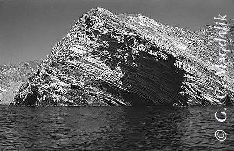 Back to Black & White Gallery 2