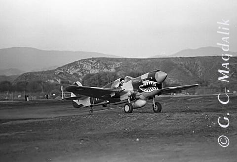 Back to Black & White Gallery 2