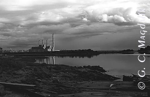 Back to Black & White Gallery 2