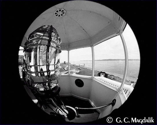 Back to Black & White Gallery 1