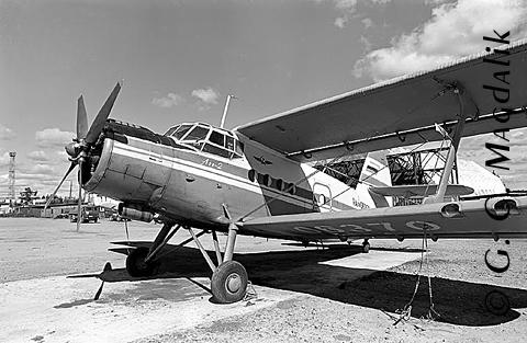 Back to Black & White Gallery 2