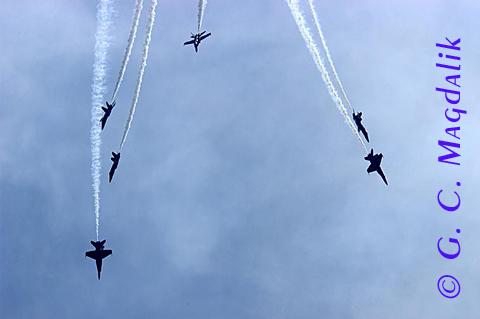 Back to Color Gallery 2