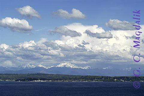 Back to Color Gallery 2