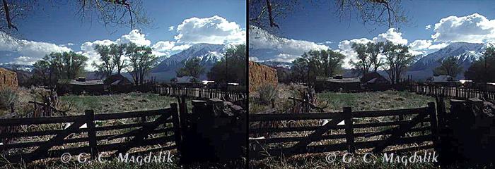 Back to Stereo Gallery 2