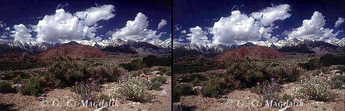 Back to Stereo Gallery I