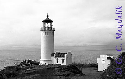 Back to Black & White Gallery 2