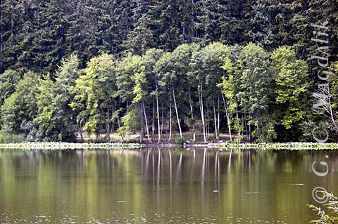 Back to Color Gallery 2