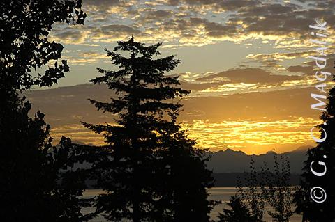 Back to Color Gallery 2