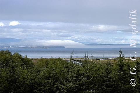 Back to Color Gallery 2