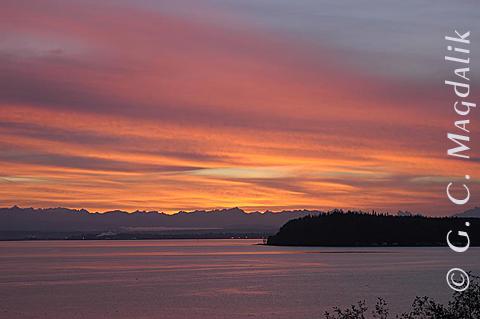 Back to Color Gallery 2