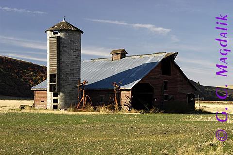 Back to Color Gallery 2