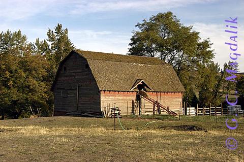 Back to Color Gallery 2