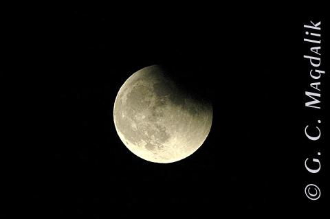 Back to Color Gallery 2