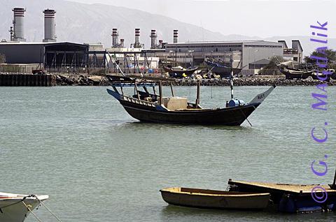 Back to Color Gallery 2