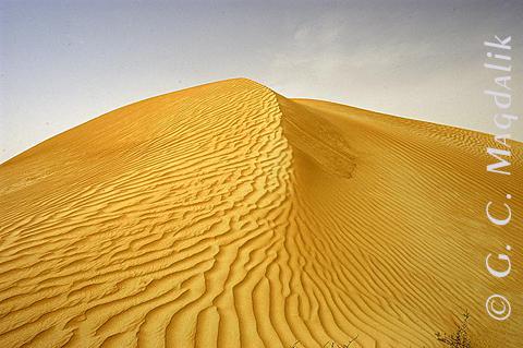 Back to Color Gallery 2