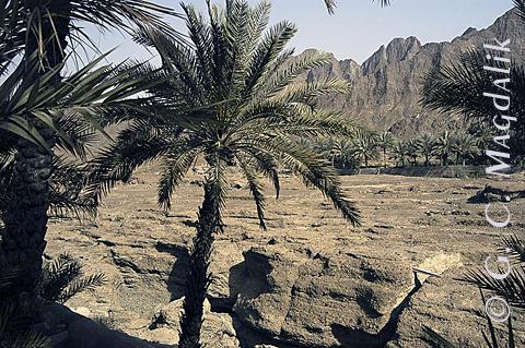 Back to Color Gallery 2