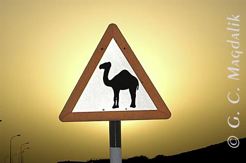 Back to Color Gallery 2