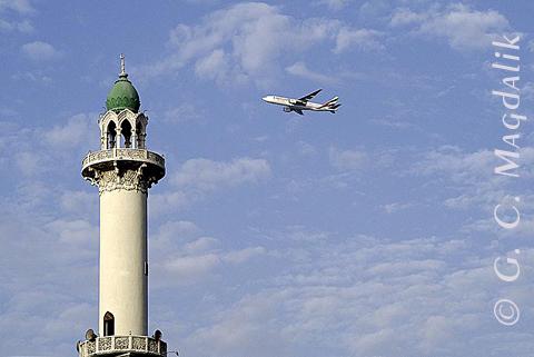 Back to Color Gallery 2