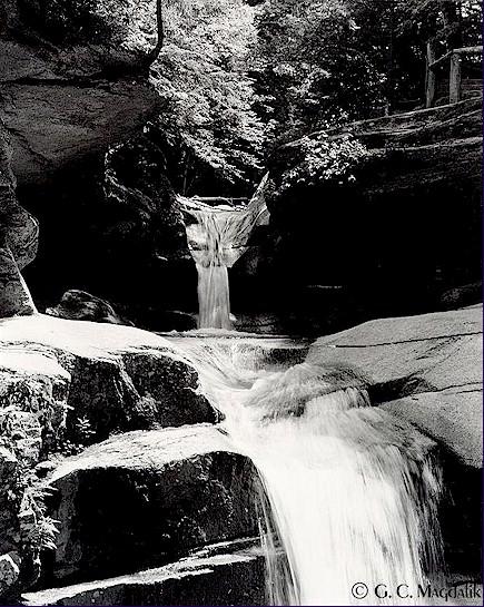 Back to Black & White Gallery 1