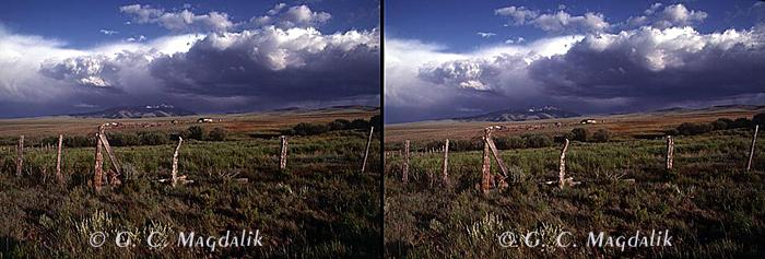 Back to Stereo Gallery 2