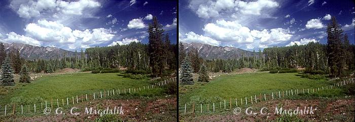 Back to Stereo Gallery 2