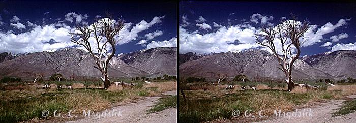 Back to Stereo Gallery 2