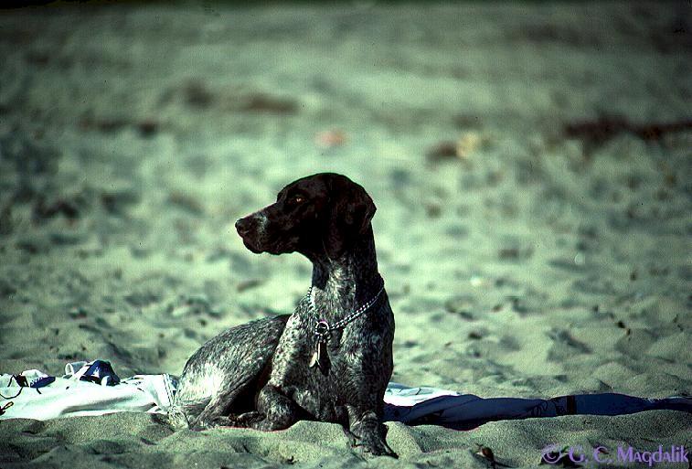 Back to Original Color Gallery