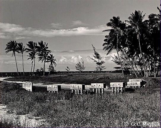 Back to Black & White Gallery 1